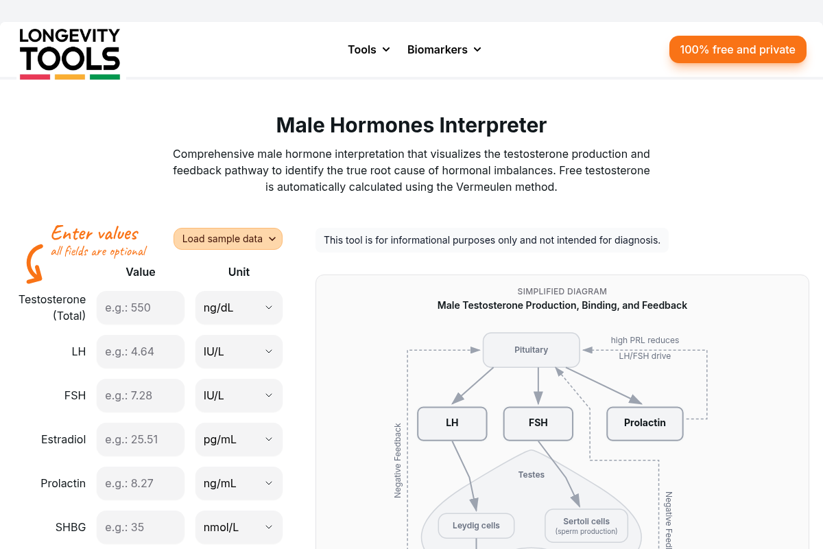 Male Hormones Interpreter screenshot