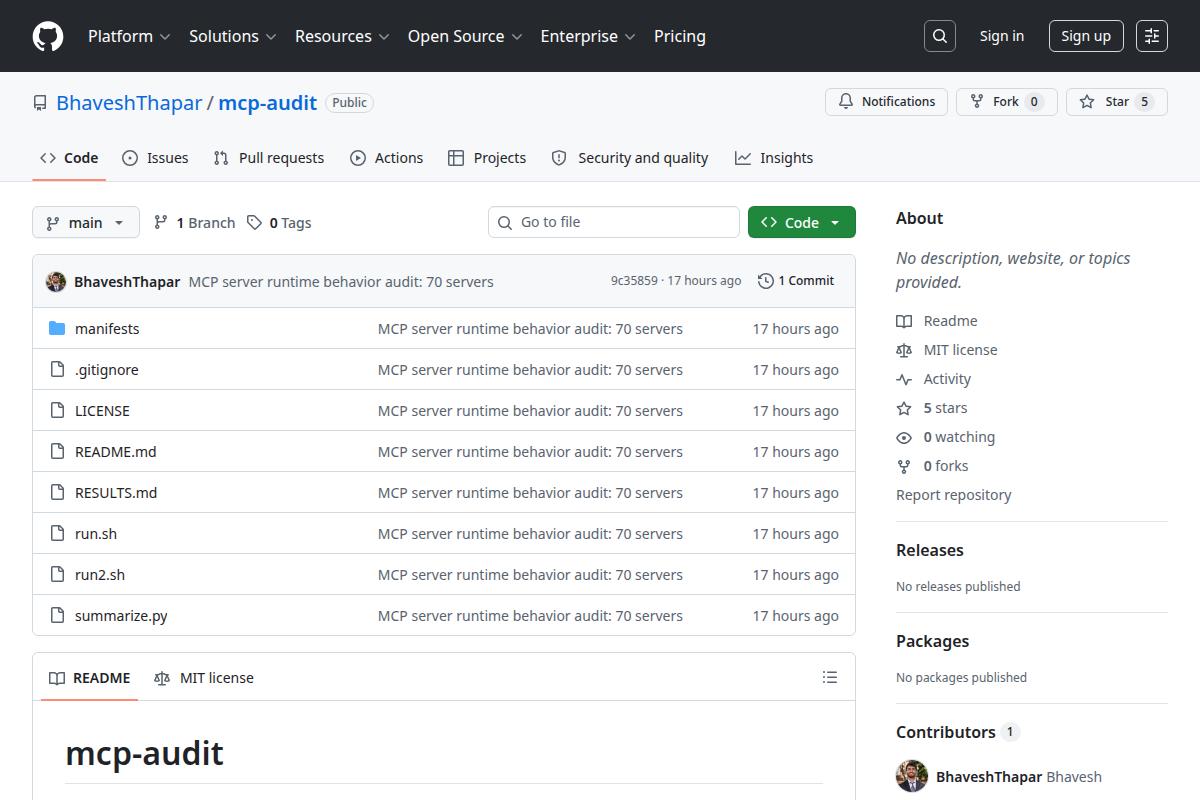 mcp-audit screenshot